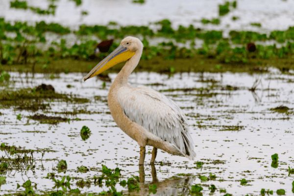 Circuit Tanzanie Insolite pas cher photo 13