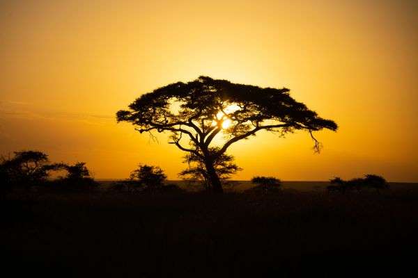Circuit Tanzanie Insolite pas cher photo 19