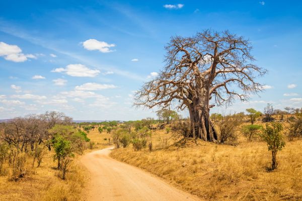 Circuit Tanzanie Insolite pas cher photo 22