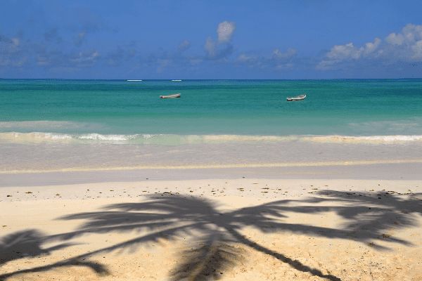 Circuit Safari Magnifique et Plage de Zanzibar 5* en Privatif pas cher photo 7