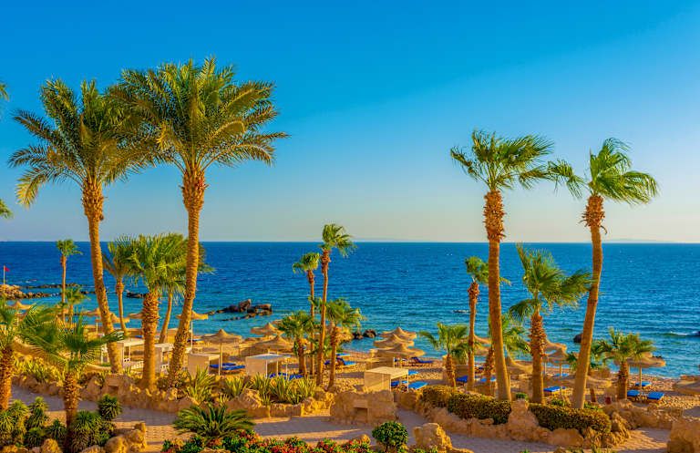 Combiné Le Caire et Hurghada 5* pas cher photo 8