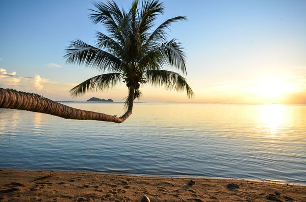 Combiné Lumières de Bangkok 5* et plage de Koh Samui 5* pas cher