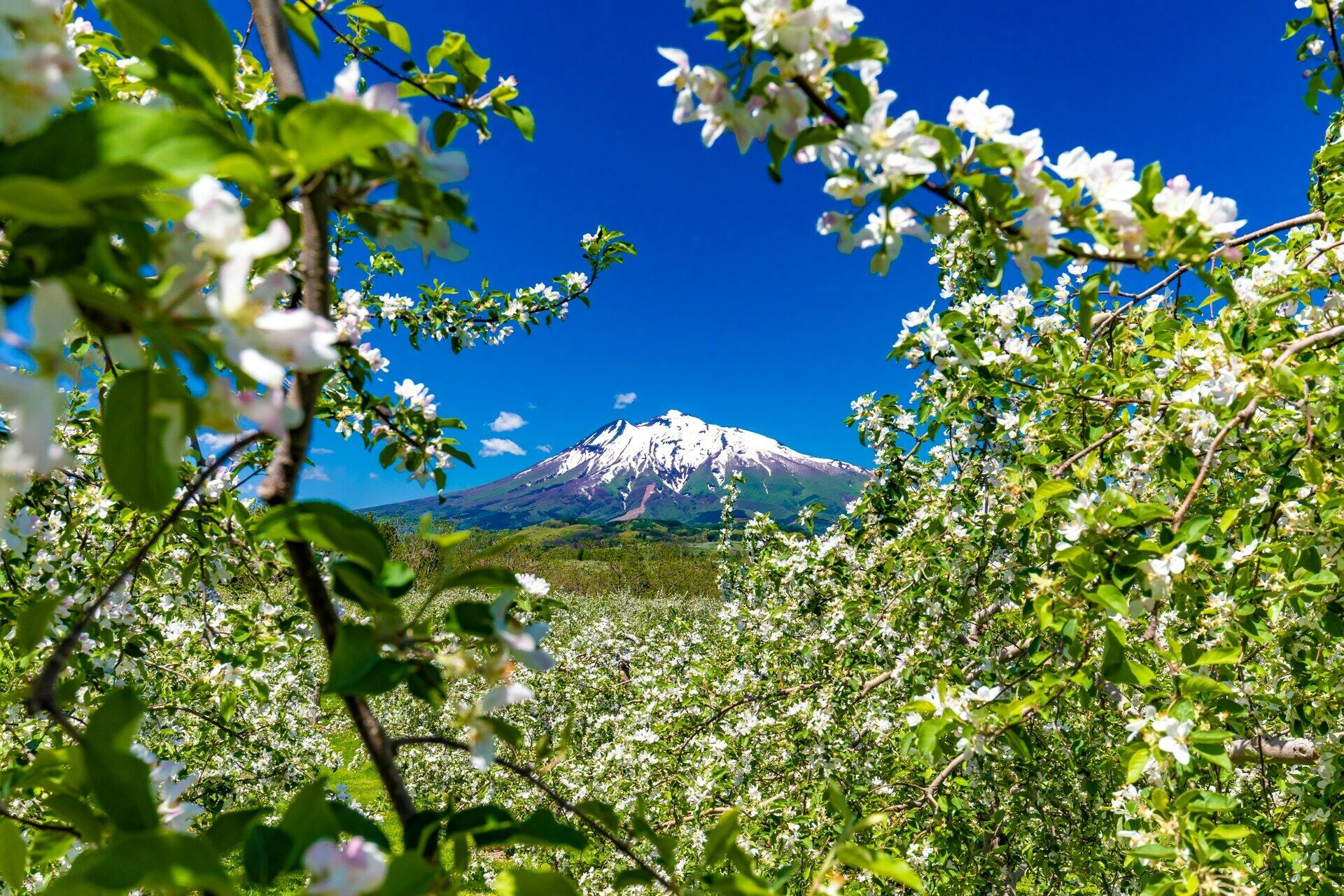 Circuit A la Découverte d'Hokkaido 3* pas cher photo 7