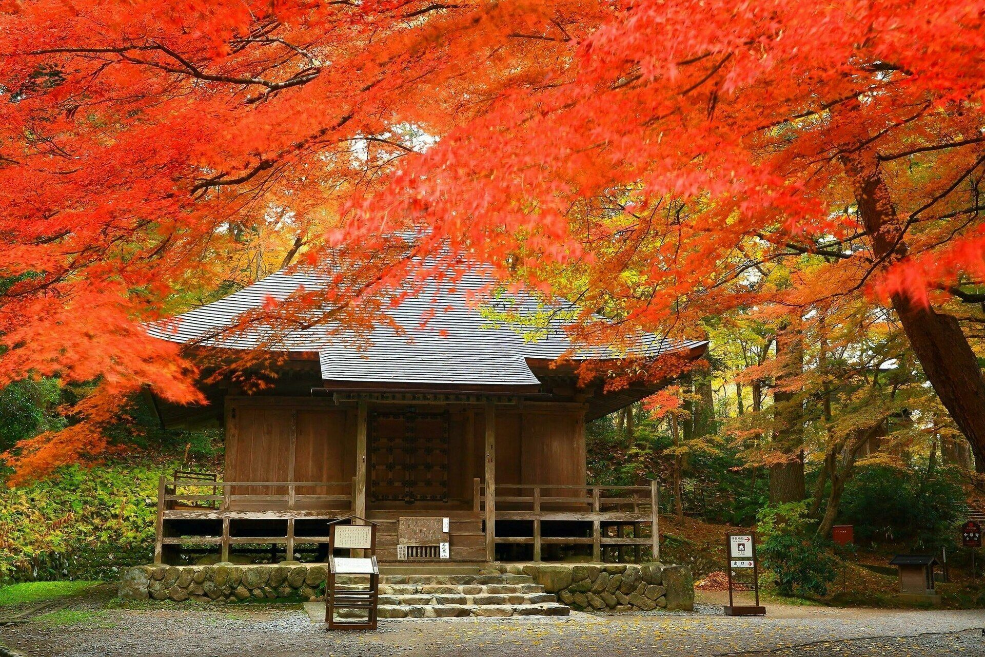 Circuit A la Découverte d'Hokkaido 3* pas cher photo 17