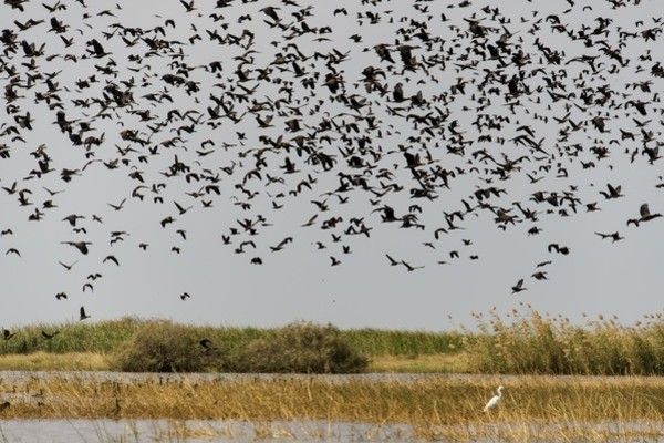 Circuit Mythes & charmes du Sénégal 3* pas cher photo 12