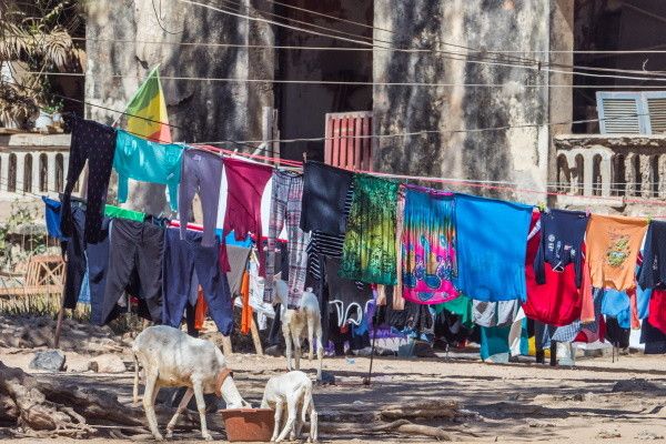 Circuit Mythes et Charmes du Sénégal 3* pas cher photo 16