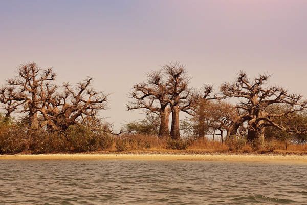 Circuit Beautés du Sénégal au coeur des chefferies 3* pas cher photo 15