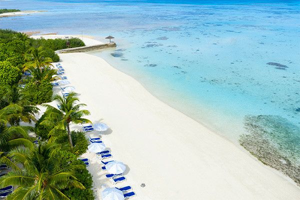 Club Framissima Evasion Canareef Resort 4* pas cher photo 3