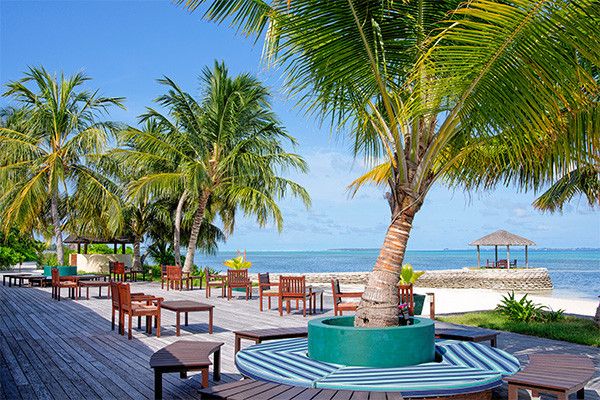 Club Framissima Evasion Canareef Resort 4* pas cher photo 22