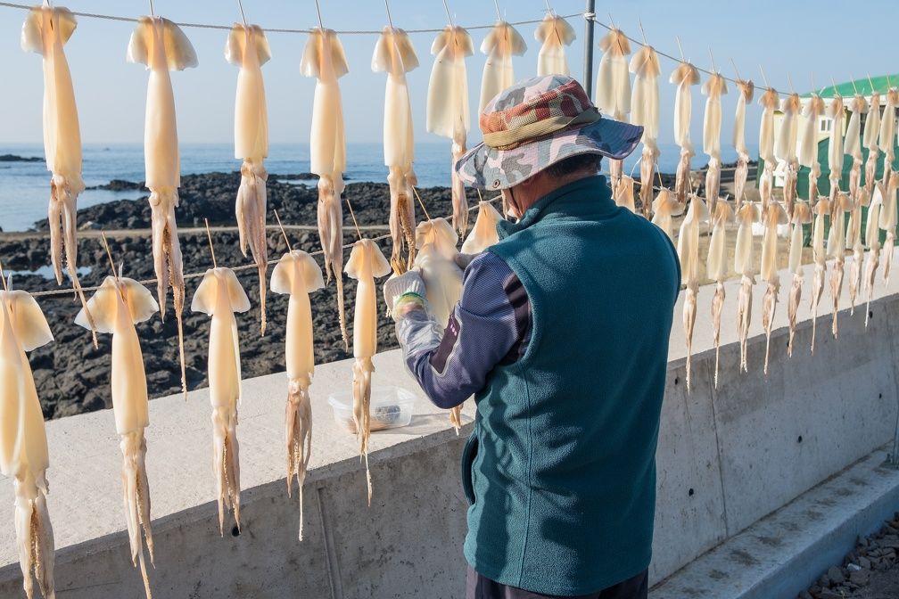 Circuit Individuel Echappée Coréenne 3* pas cher photo 12