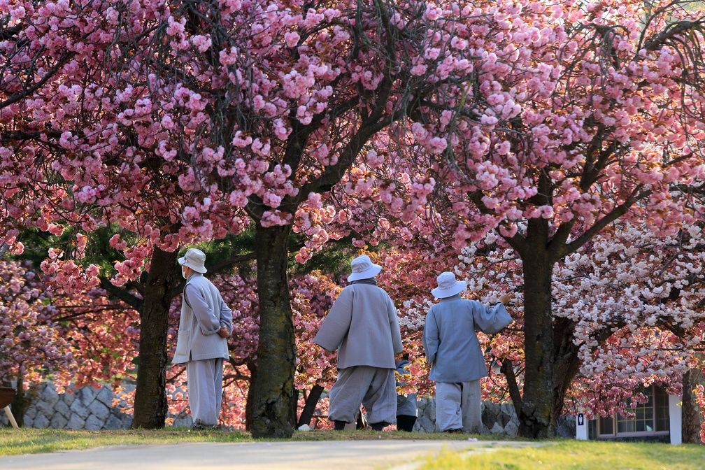 Circuit Individuel La Corée Essentielle 3* pas cher photo 18