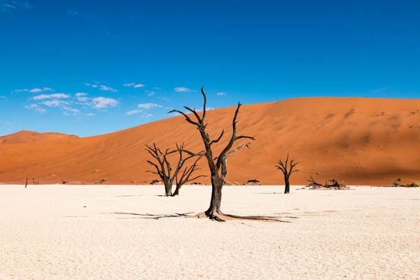 Autotour La Namibie Sauvage 3* pas cher photo 10