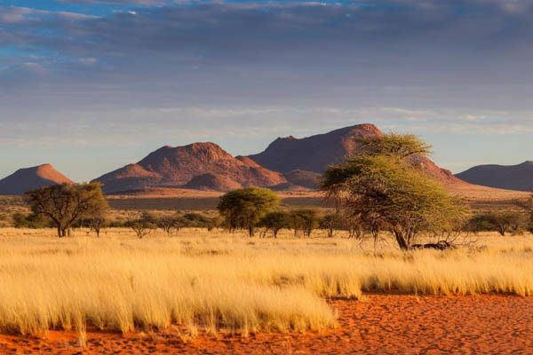 Autotour La Namibie Sauvage 3* pas cher photo 18