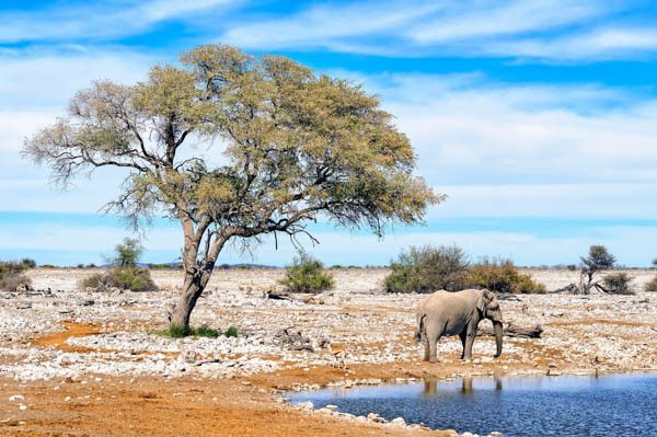 Autotour La Namibie Sauvage 3* pas cher photo 22
