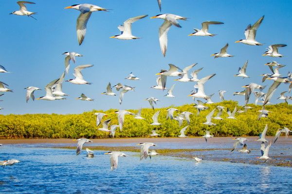 Circuit Les Oasis du Sénégal pas cher photo 2