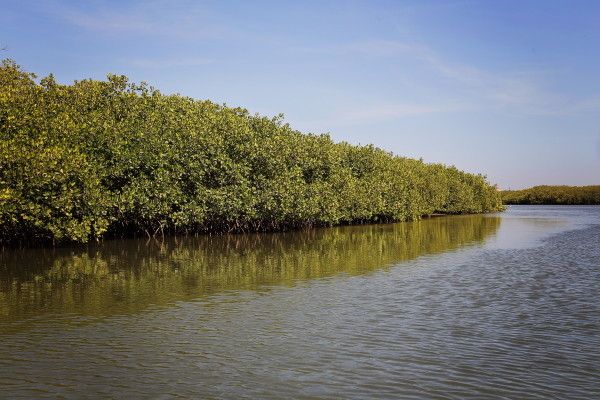 Circuit Les Oasis du Sénégal pas cher photo 9