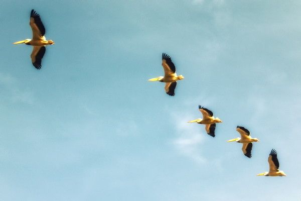 Circuit Les Oasis du Sénégal pas cher photo 15