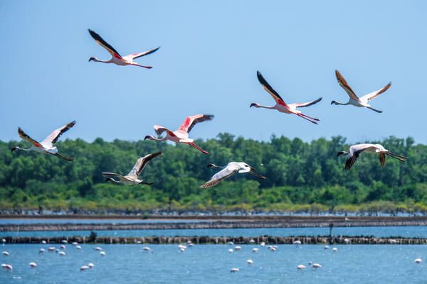 Circuit Zanzibar et Saadani, Rencontre entre Brousse et Plage pas cher photo 1