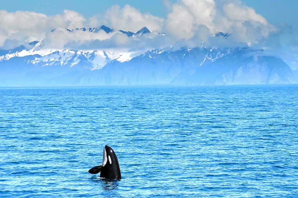 City Break Escapade Estivale 3* pas cher photo 1