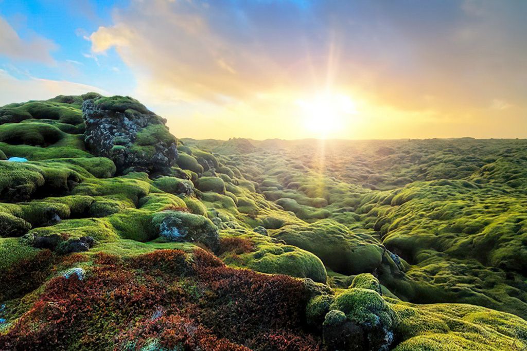 City Break A la recherche du soleil de minuit 3* pas cher photo 1