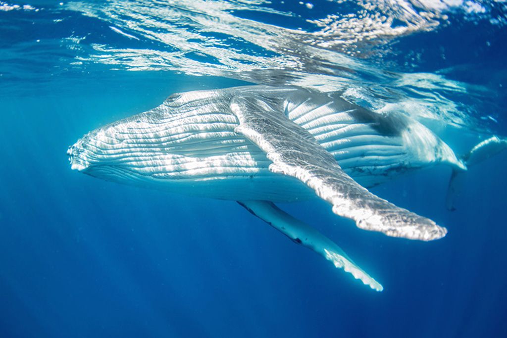 City Break A la recherche du soleil de minuit 3* pas cher photo 10