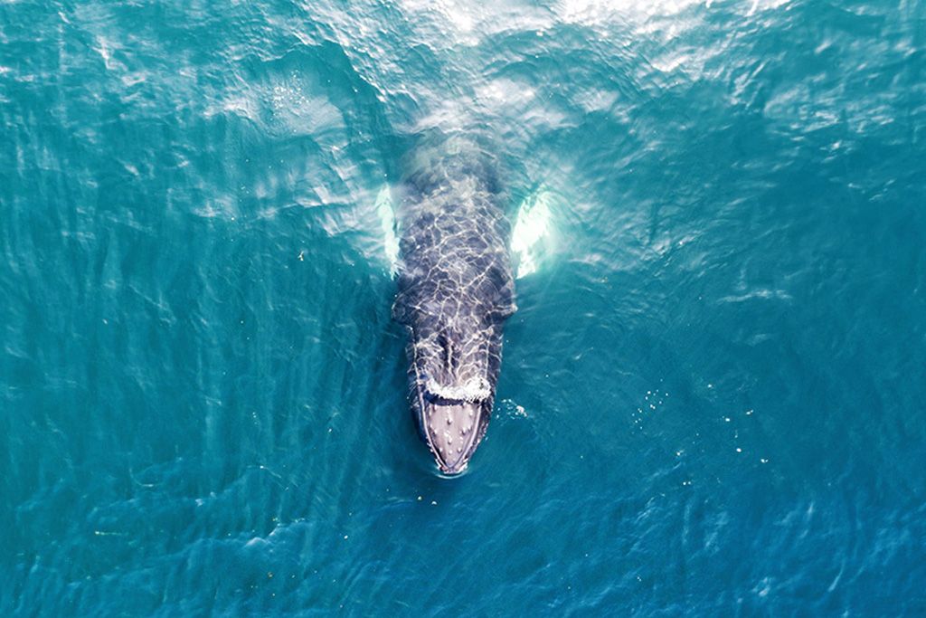 City Break 5 nuits Découvertes Estivales 3* pas cher photo 10