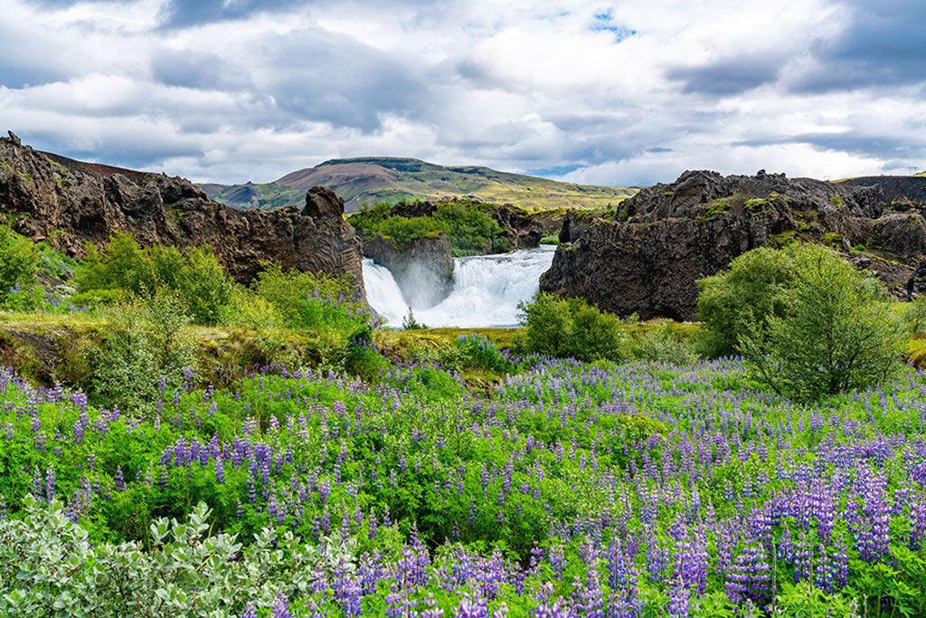 City Break 5 nuits Découvertes Estivales 3* pas cher photo 11