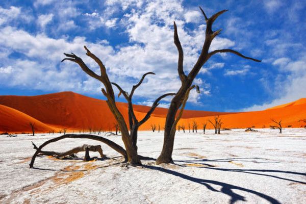 Autotour La Namibie Sauvage premium 4* pas cher photo 2