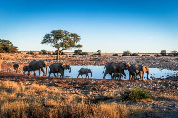 Autotour La Namibie Sauvage premium 4* pas cher photo 10