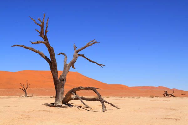 Autotour La Namibie Sauvage premium 4* pas cher photo 17