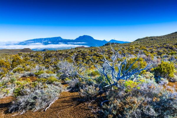 Autotour Autotour Passion Réunion en liberté 2* pas cher photo 22