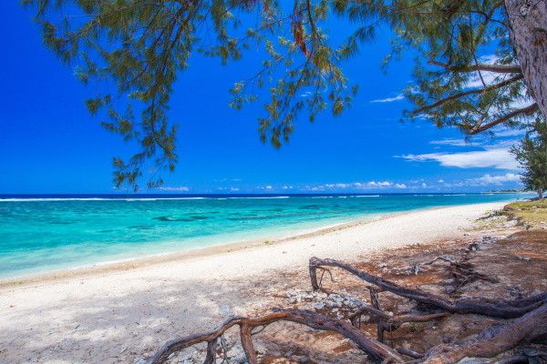 Circuit Intense Réunion, logement au Nautile Beach 4* pas cher photo 2