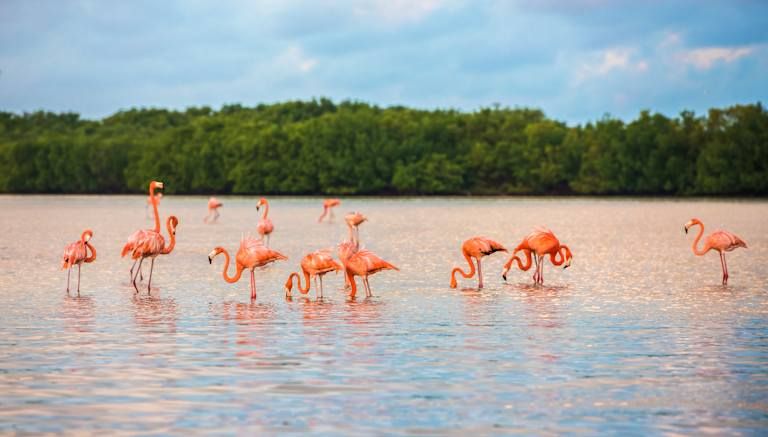 Autotour Yucatan en 10 jours 3* pas cher photo 6
