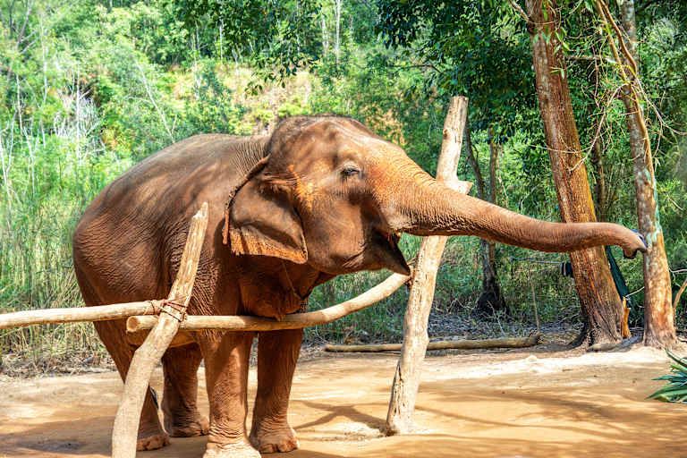 Combiné Iles et plages d'Andaman: Phuket, Koh Yao et Krabi 4* et 5* pas cher photo 20