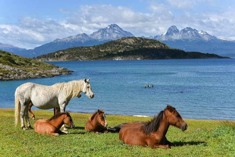 Circuit Argentine et Chili 3*-4* pas cher photo 9