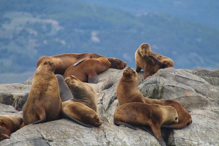 Circuit Argentine et Chili 3*-4* pas cher photo 11