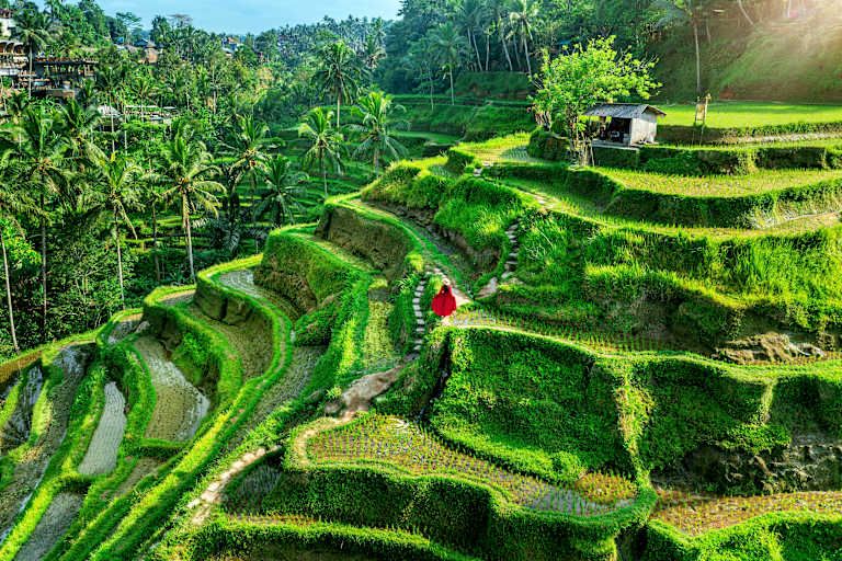 Circuit Les Incontournables de Bali, Gili Air et Nusa Penida 3*-4* pas cher photo 8