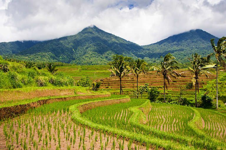 Circuit Les Incontournables de Bali, Gili Air et Nusa Penida 3*-4* pas cher photo 11