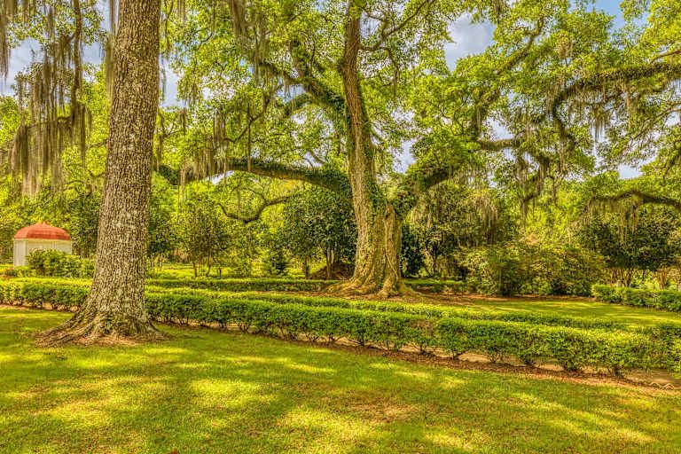 Autotour A la Découverte de la Louisiane au volant 3* pas cher photo 8