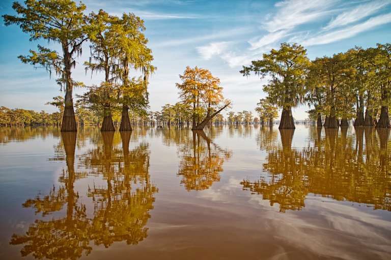 Autotour A la Découverte de la Louisiane au volant 3* pas cher photo 12