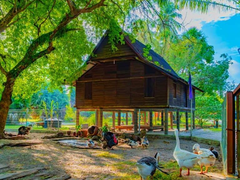Combiné Kuala Lumpur - Langkawi 5* pas cher photo 38