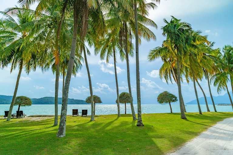 Combiné Kuala Lumpur - Langkawi 5* pas cher photo 40