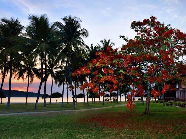 Combiné Kuala Lumpur - Langkawi 5* pas cher photo 41