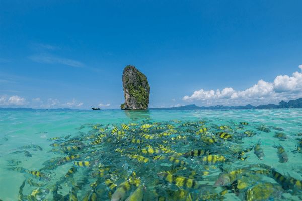 Circuit Merveilles du Siam à Krabi, au Centara Life Phu Pano 4* pas cher photo 16