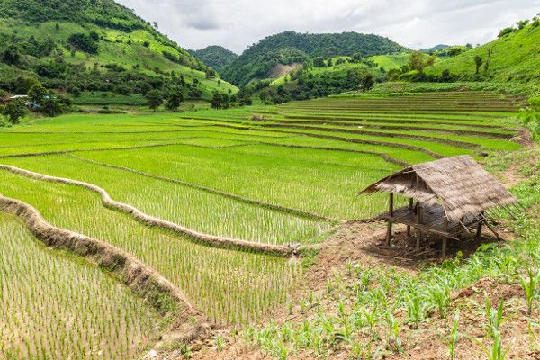 Circuit Merveilleuse Thaïlande privatif pas cher