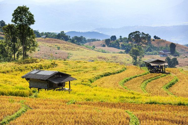 Circuit Merveilleuse Thaïlande privatif pas cher photo 18
