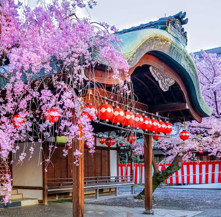 Circuit Universal Studio Le Japon Sensationnel 4* pas cher photo 18