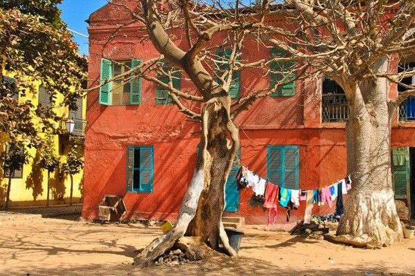 Circuit Racines et Plages du Sénégal, logement au Jumbo Yuma Lodge 3* pas cher photo 3