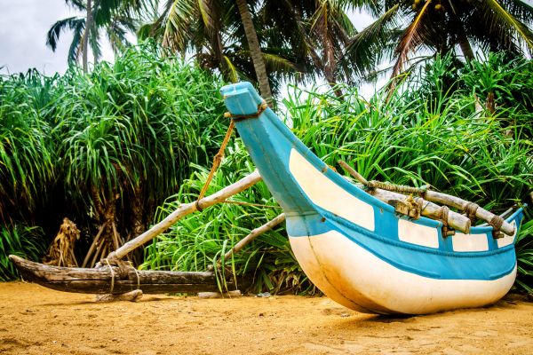 Circuit L'essentiel du Sri Lanka et plage de Kalutara pas cher photo 12