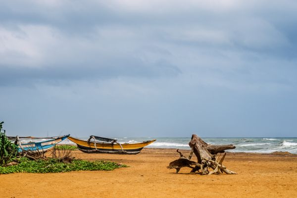 Circuit L'essentiel du Sri Lanka et plages du Sud pas cher photo 14